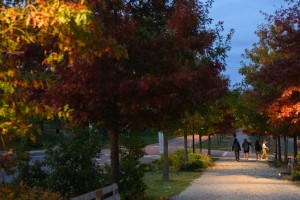 Middle Path in the evening