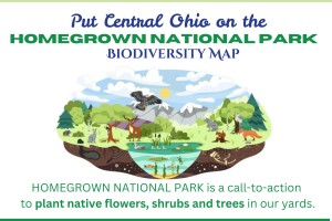 Create Biodiversity in Your Yard: Homegrown National Park