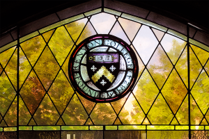 stained glass shield