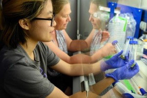 Student and professor with research samples in a lab.