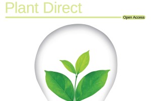 Plant Direct