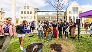 Tree planting