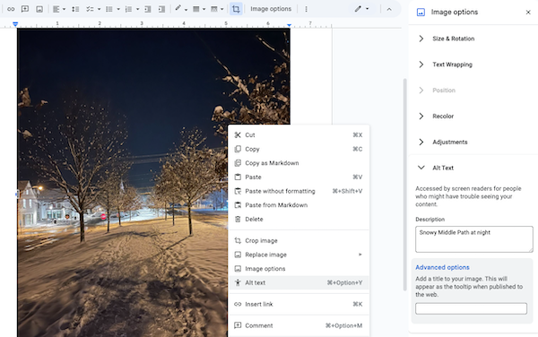Screenshot of an image of Middle Path, with a popup menu showing the Alt Text option, and the Image Options panel showing the alt text "Snowy Middle Path"