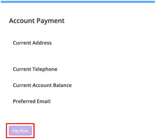 Account payment fields with purple Pay Now button highlighted